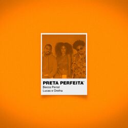 Cover of Preta Perfeita