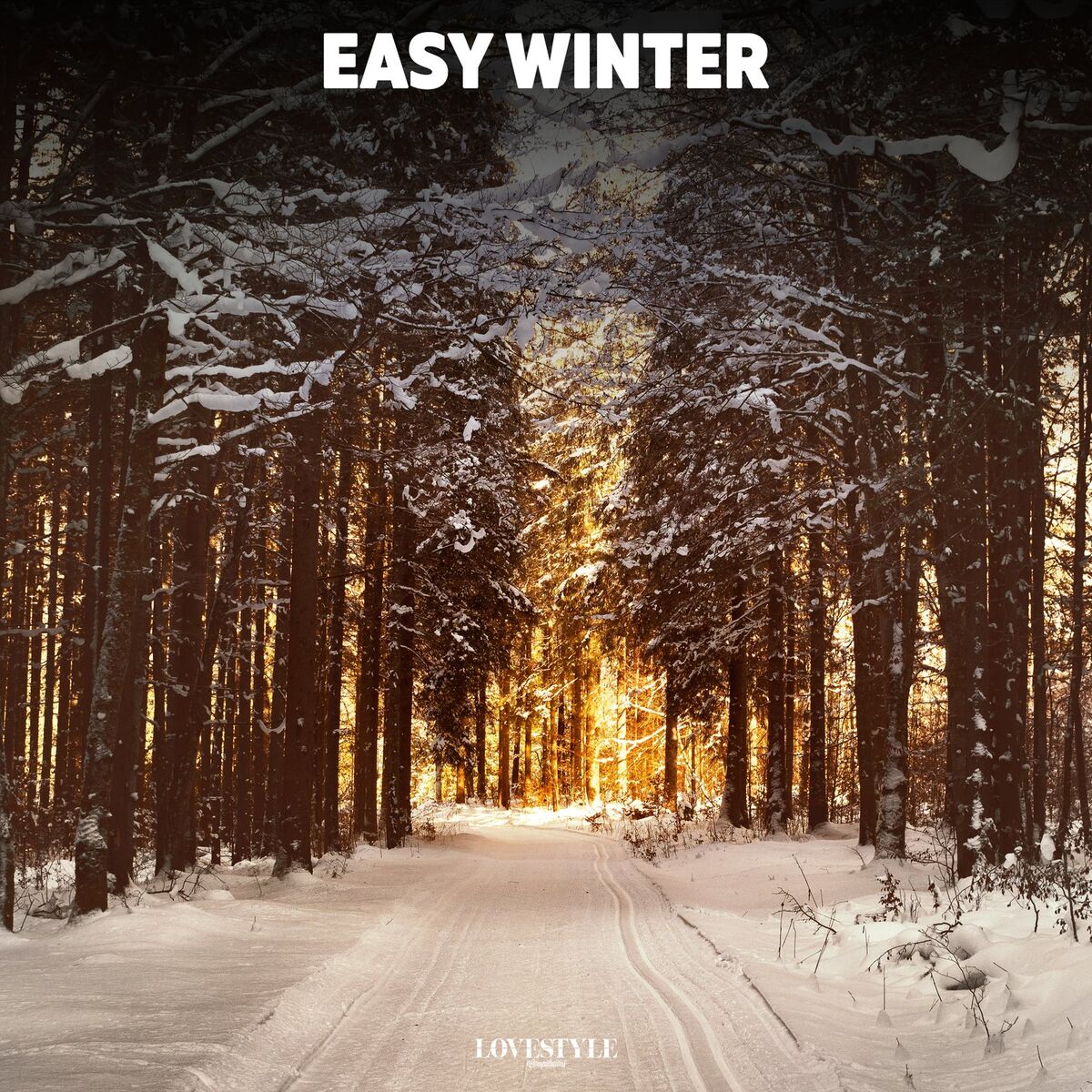 Album cover of Easy Winter