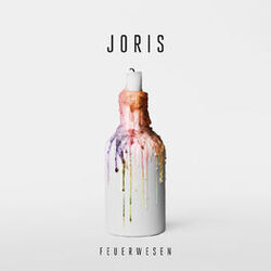 Cover of Feuerwesen