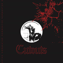 Pochette album