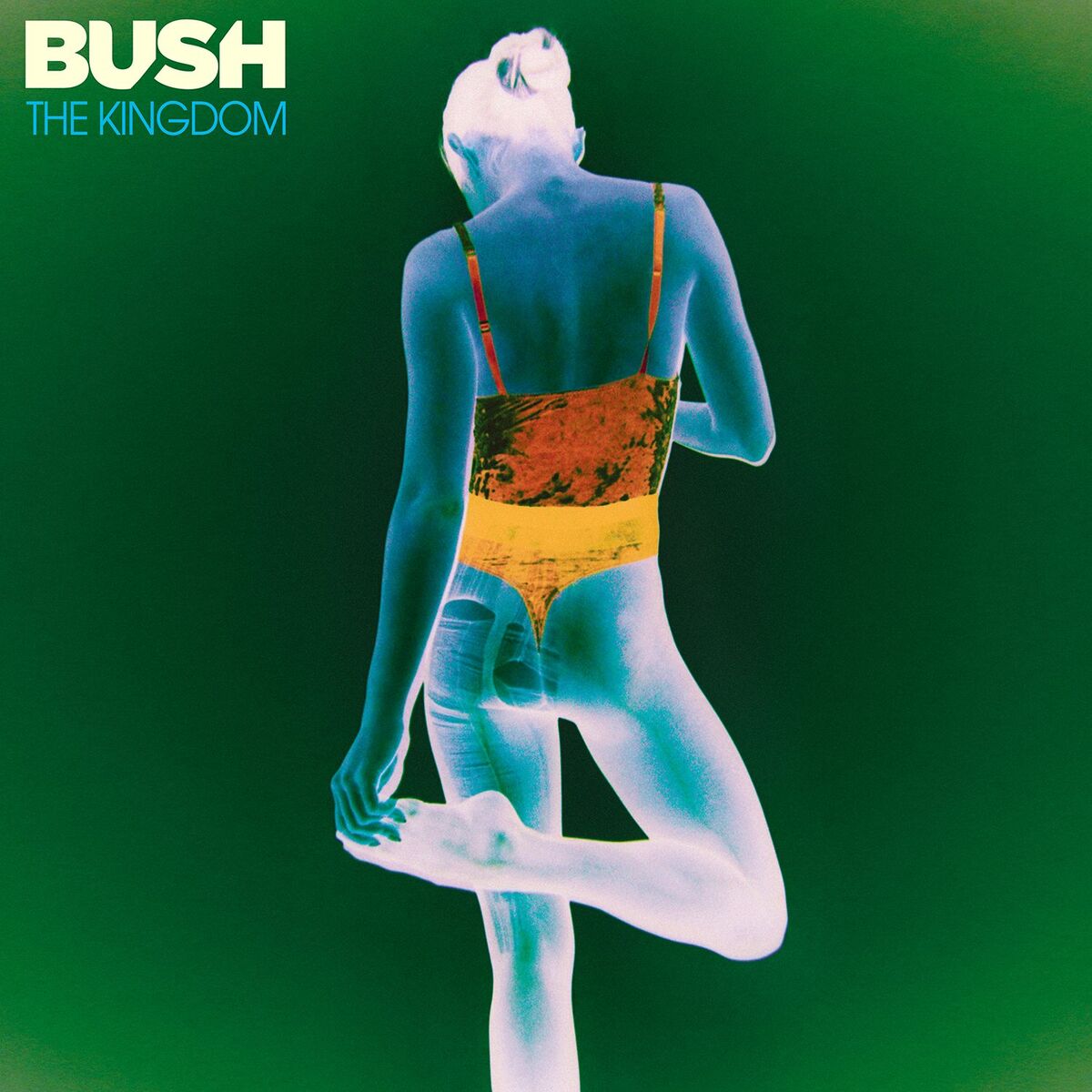 Album cover of Bullet Holes