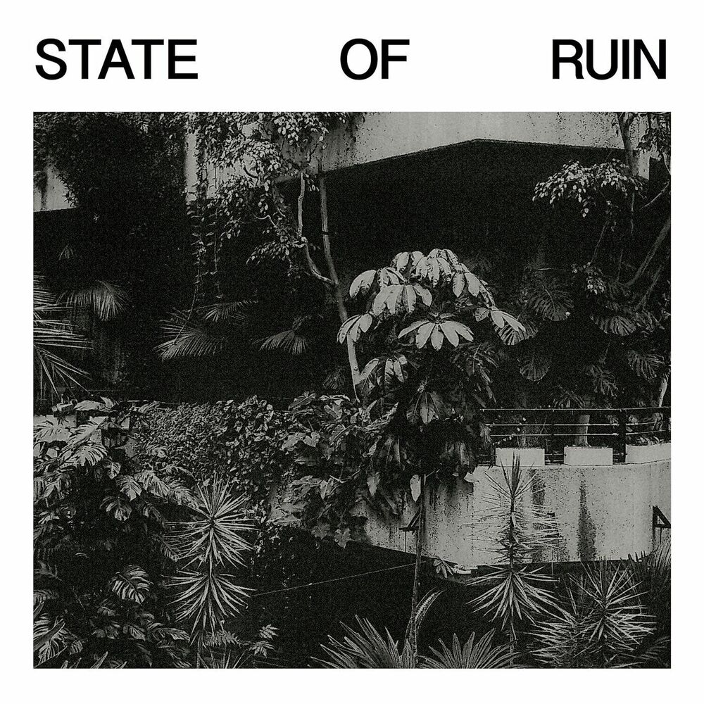 Picture of State of Ruin