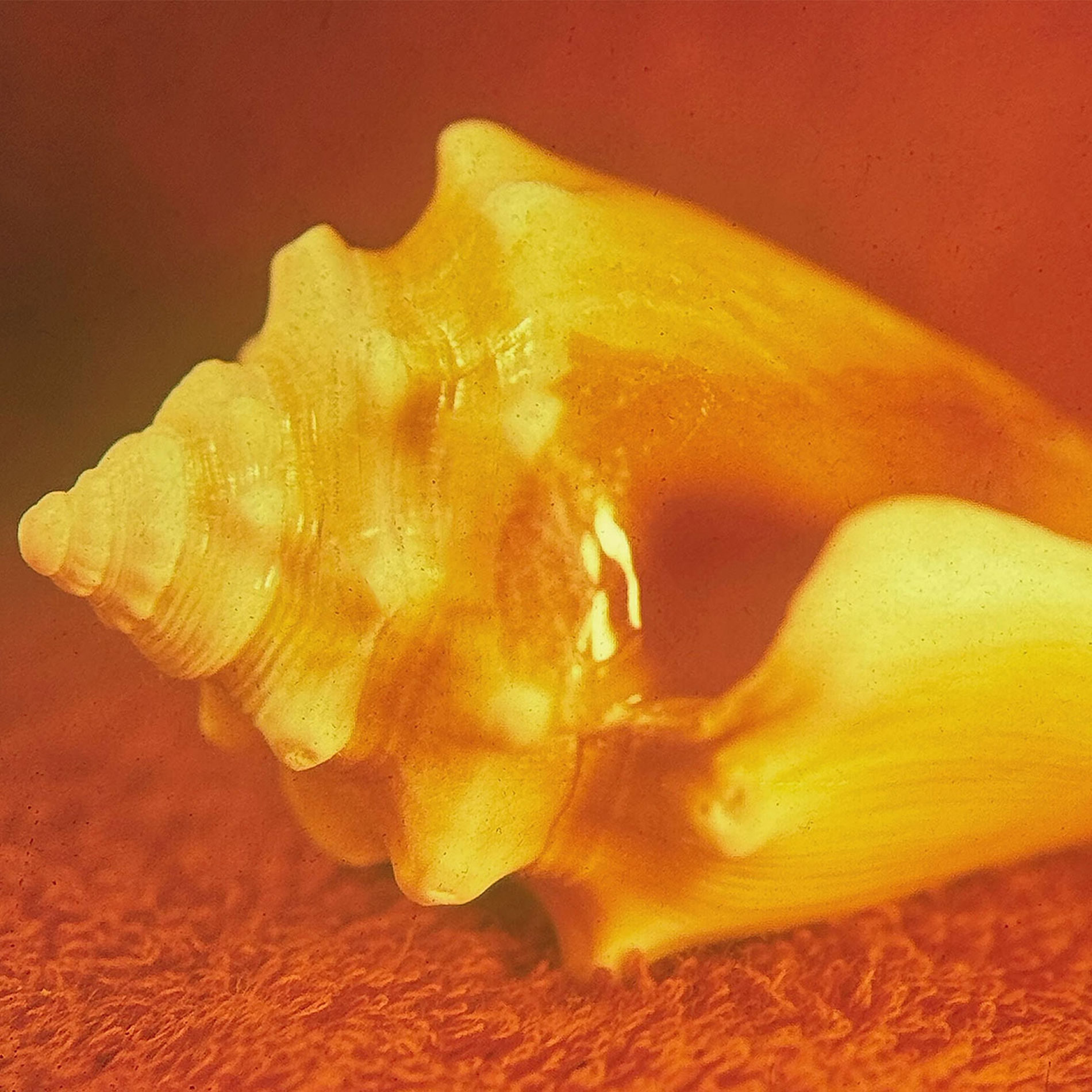 Album cover of Ultramarine
