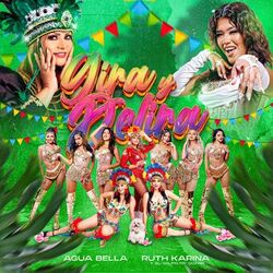 Cover of Gira y Delira