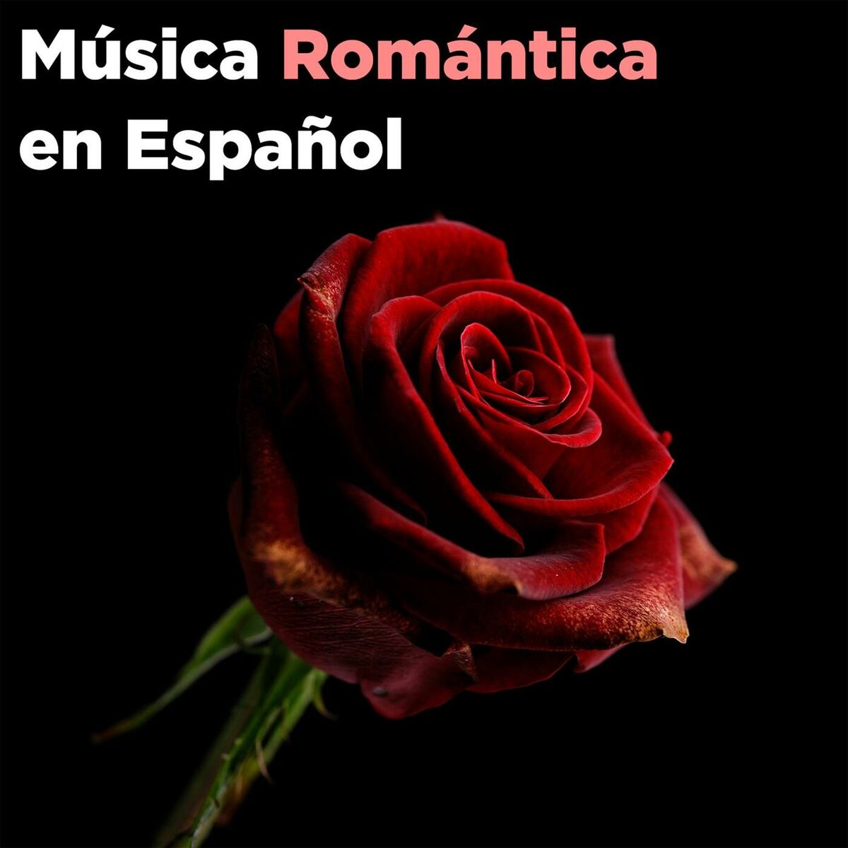 Album cover of Música Romántica en Español