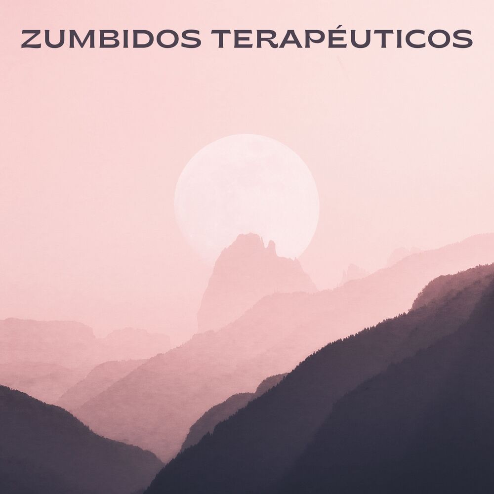 Picture of Zumbidos Terapéuticos