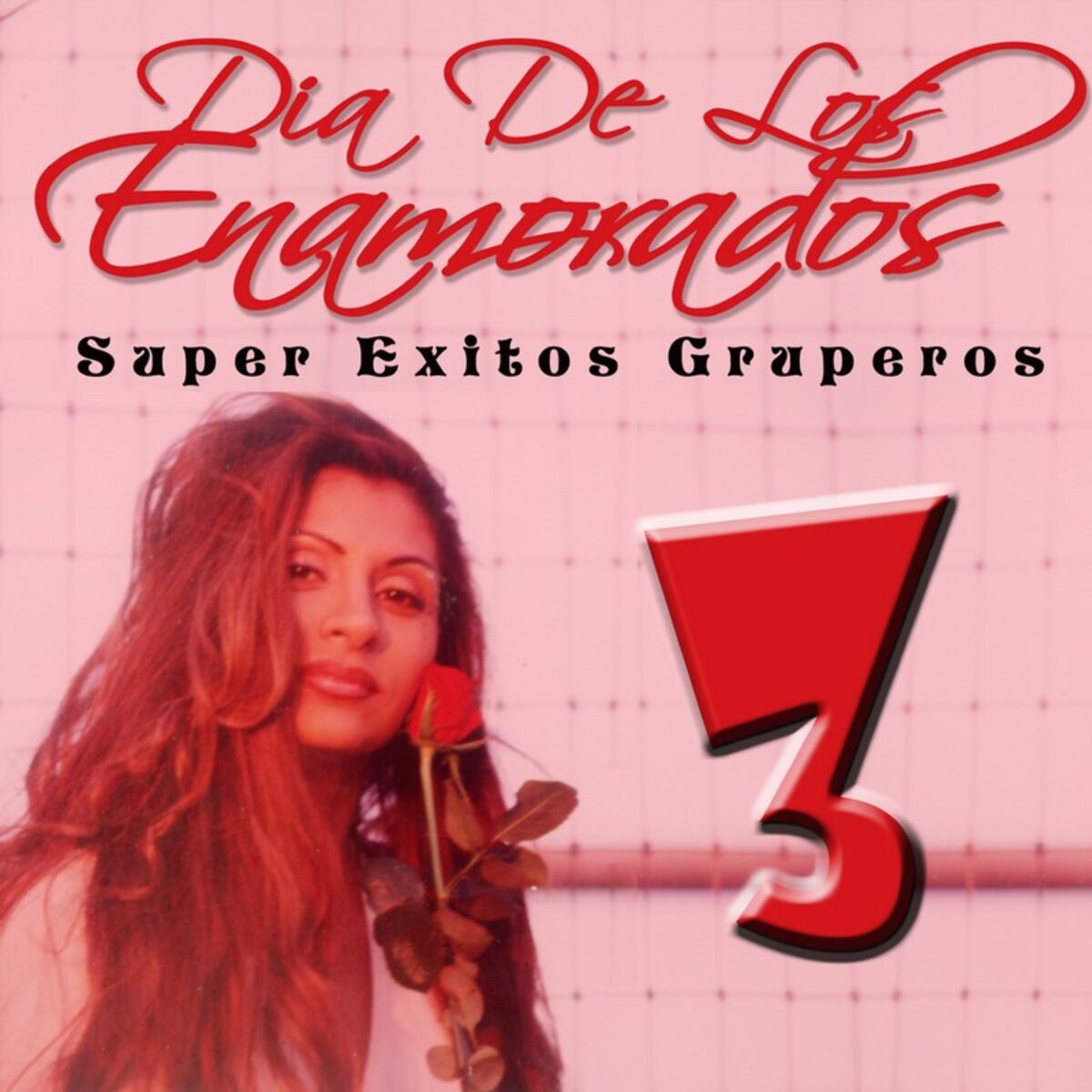 Album cover of Dia de los Enamorados: Super Exitos Gruperos, Vol. 3