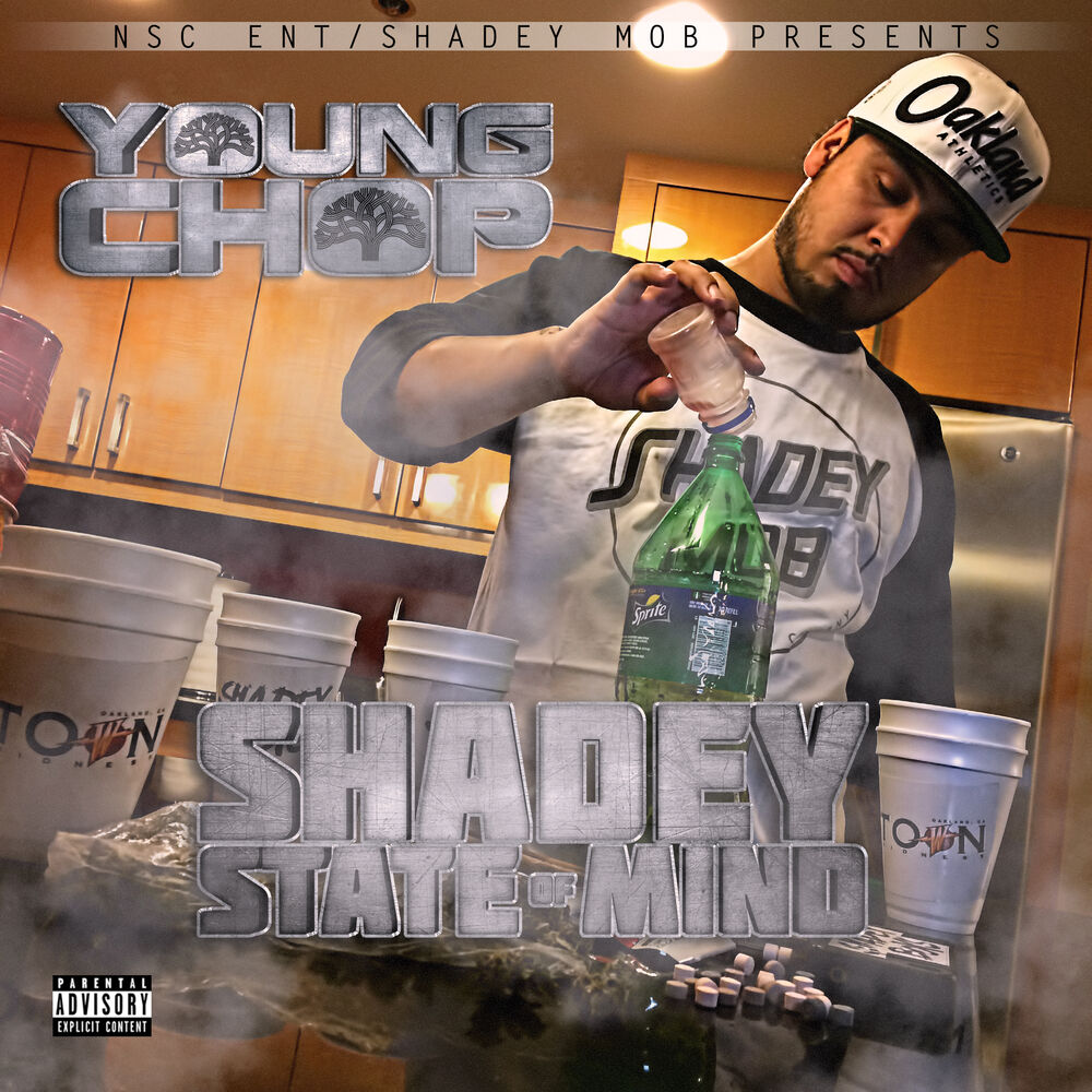 Picture of Shadey State Of Mind