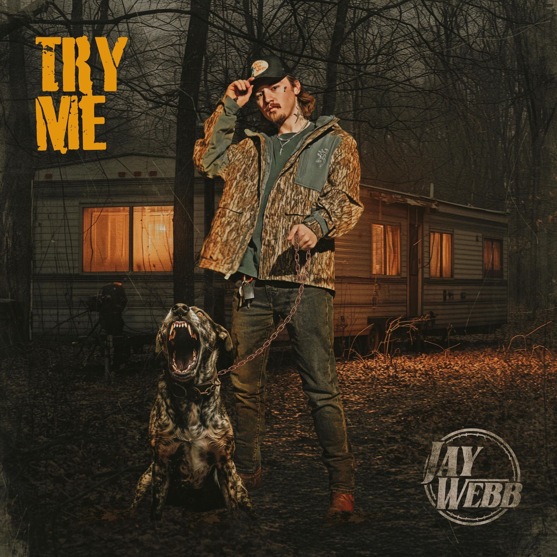 Album cover of Try Me