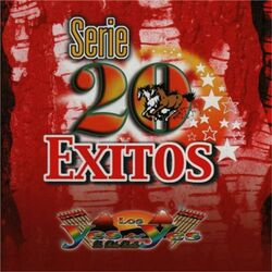 Cover of Serie 20 Exitos