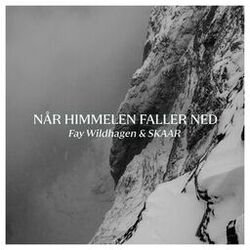 Cover of Når himmelen faller ned