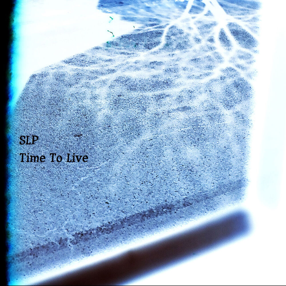 Picture of Time To Live EP