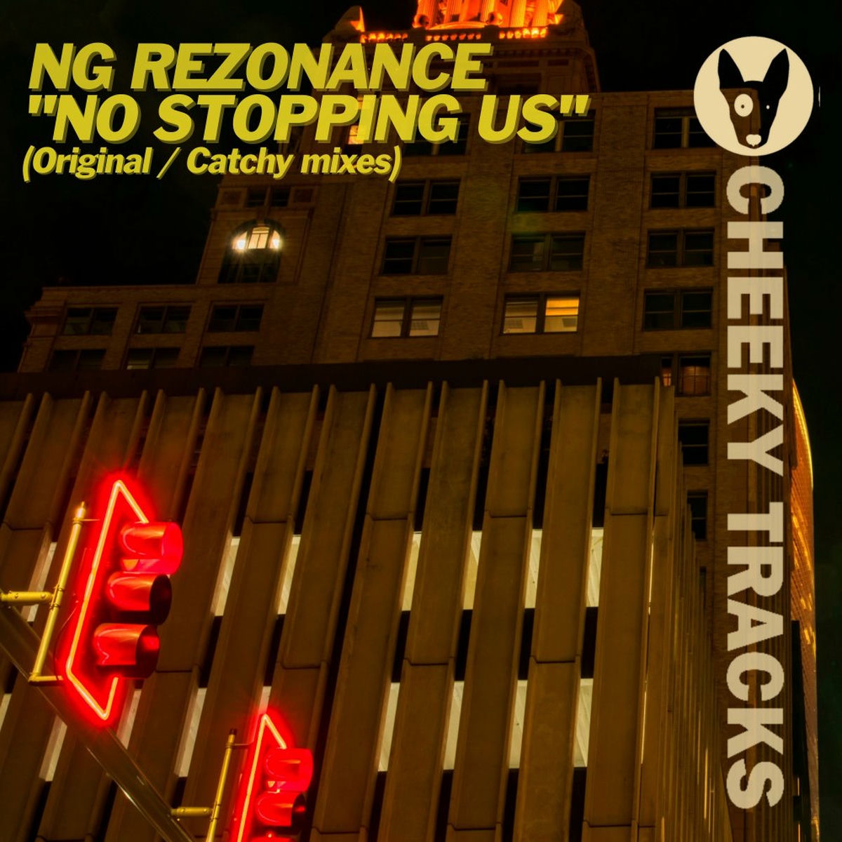 Album cover of No Stopping Us