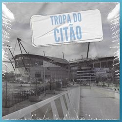 Cover of Tropa do Citão