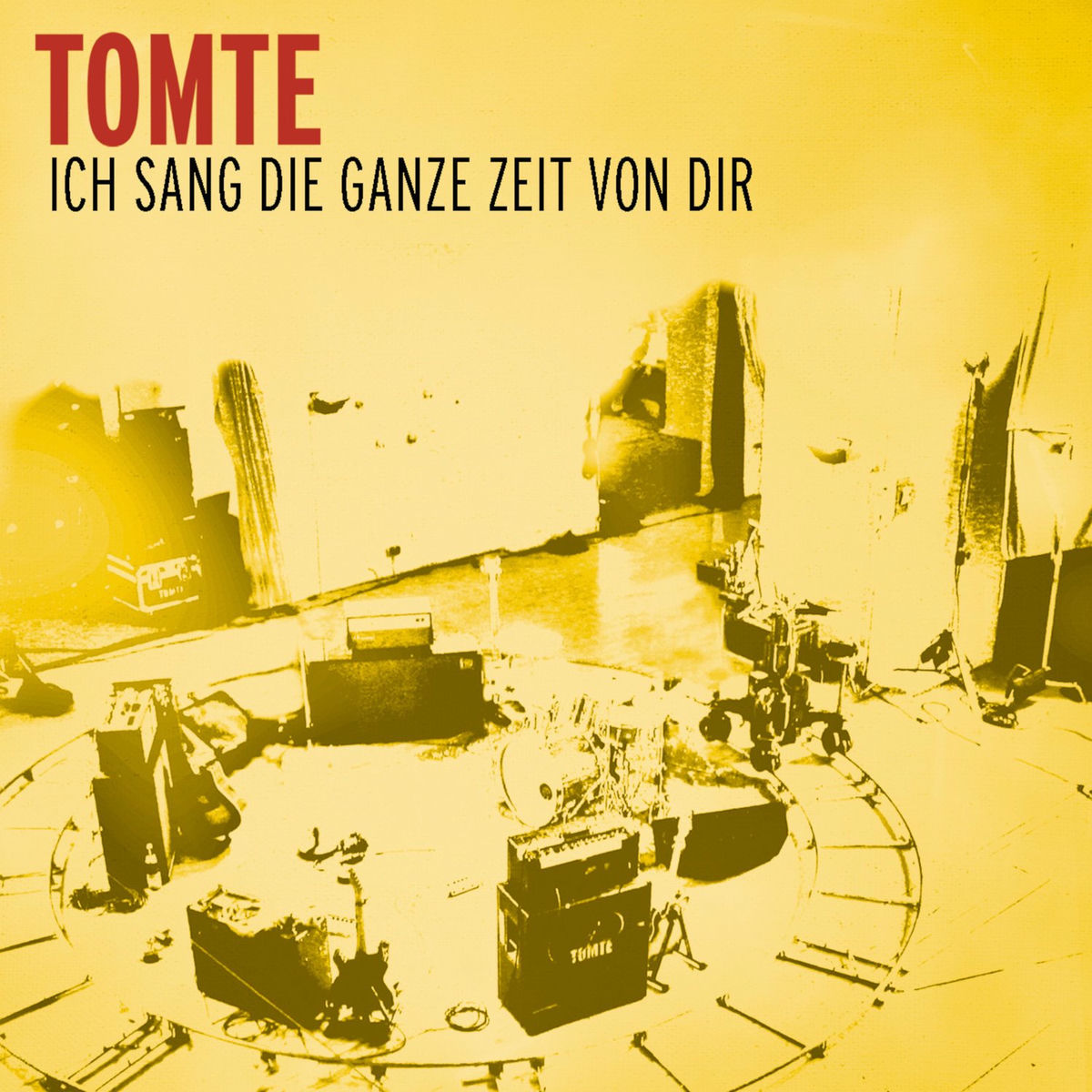 Album cover of Ich sang die ganze Zeit von dir