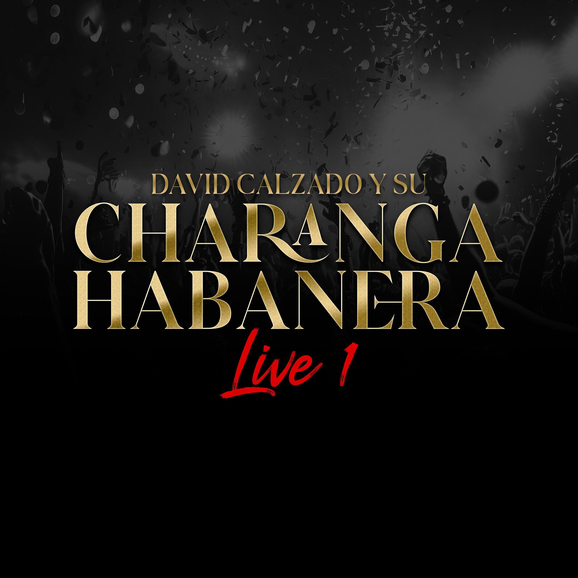 Album cover of Charanga Habanera 1 (Live)