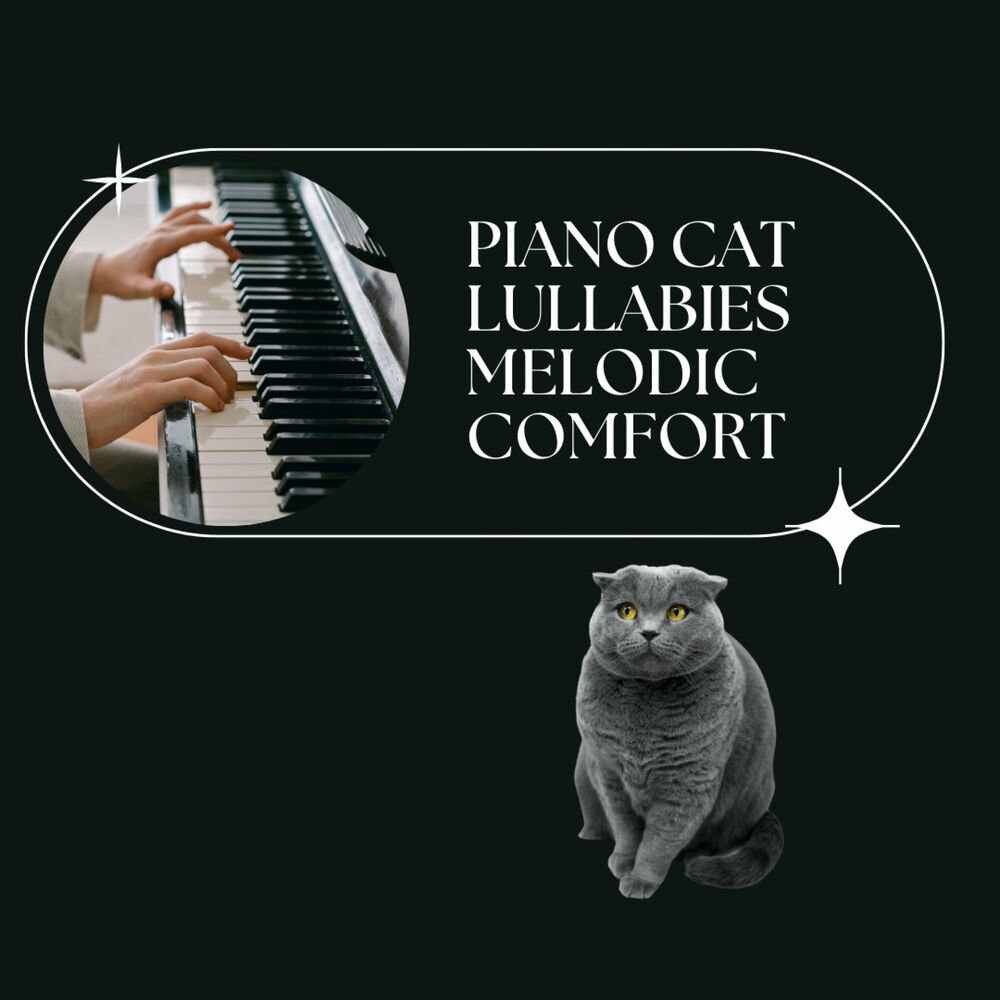 Picture of Piano Cat Lullabies: Melodic Comfort