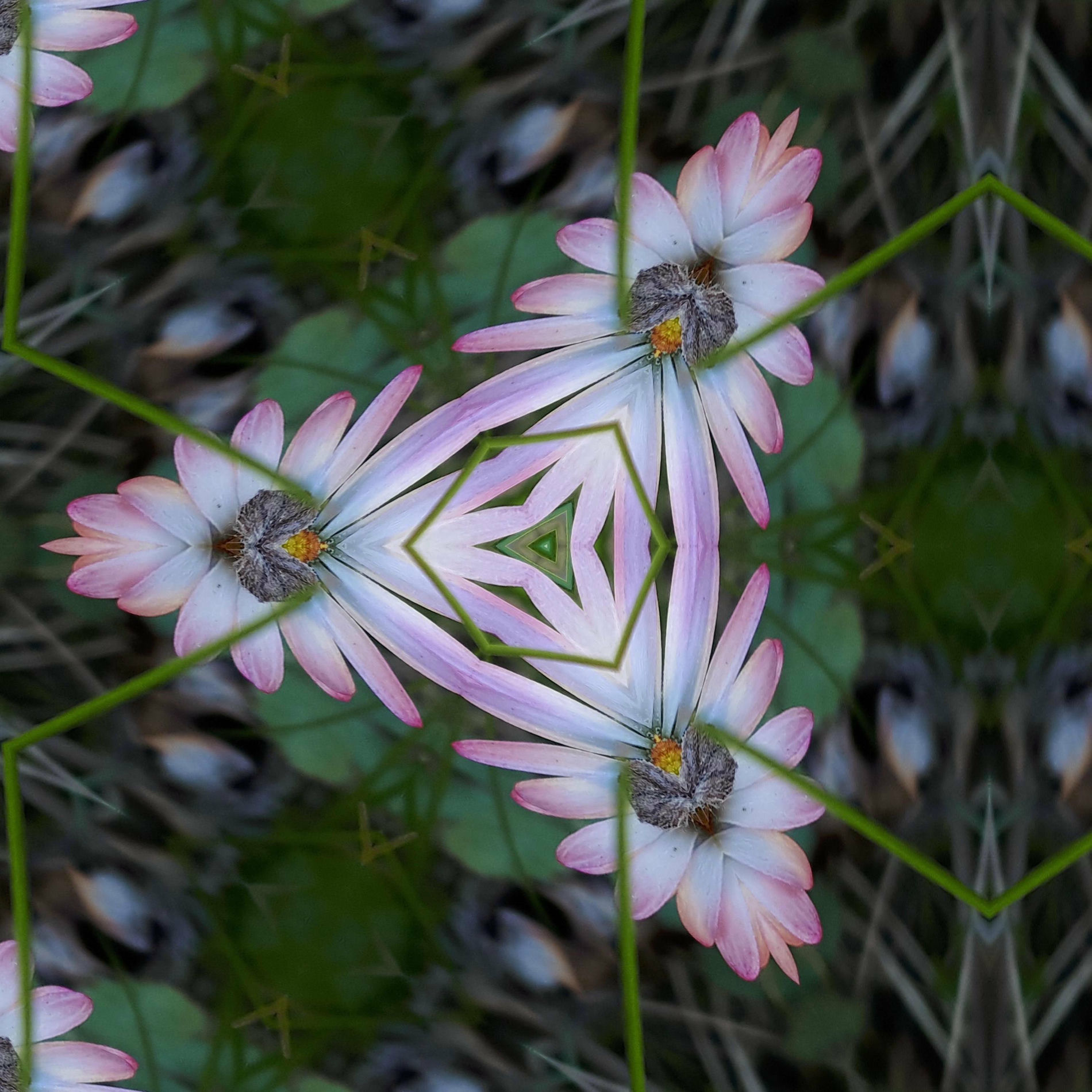 Album cover of Increased Awareness, Non-Delusion, Self-Control, And Tranquility