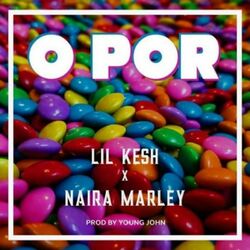 Cover of O Por