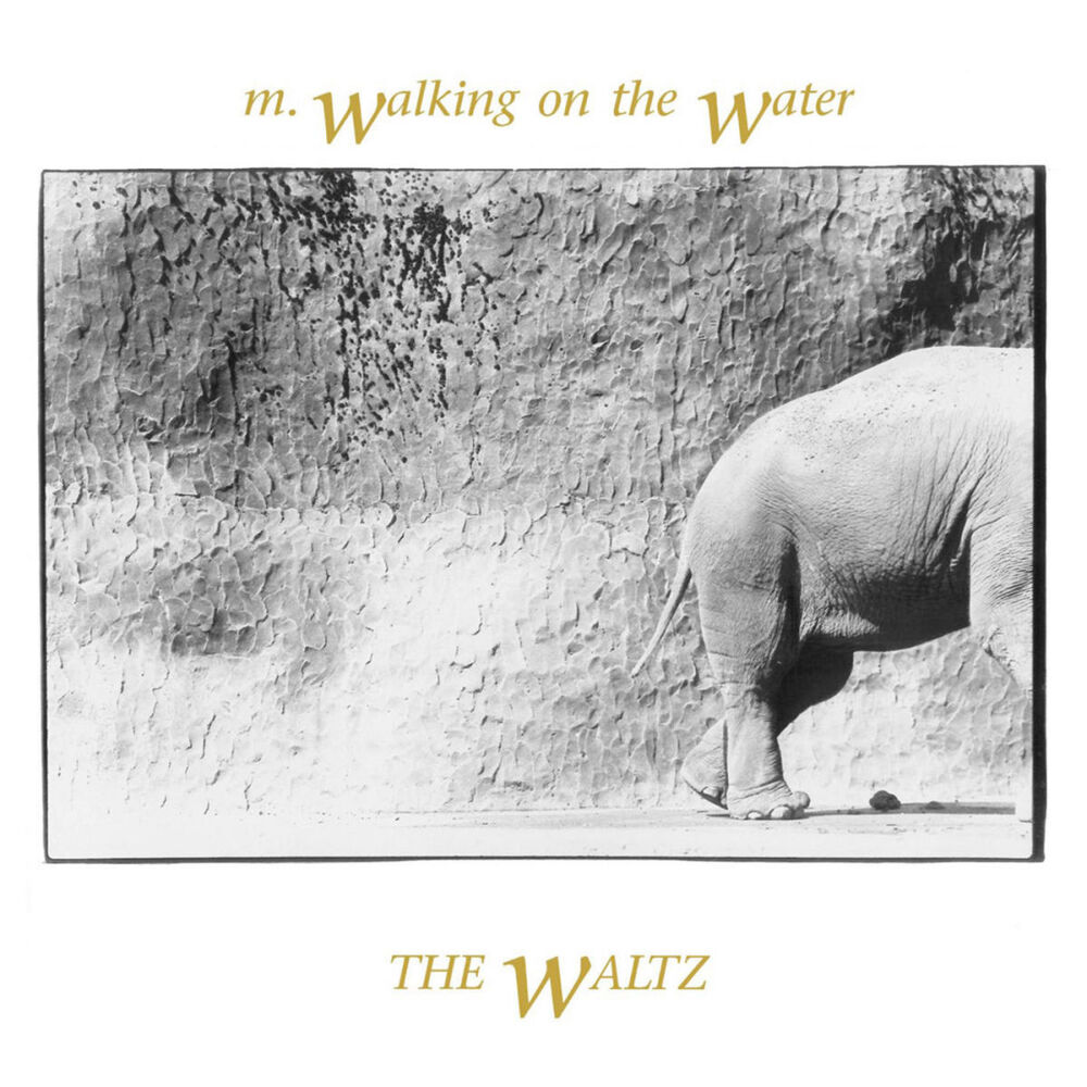 Picture of The Waltz