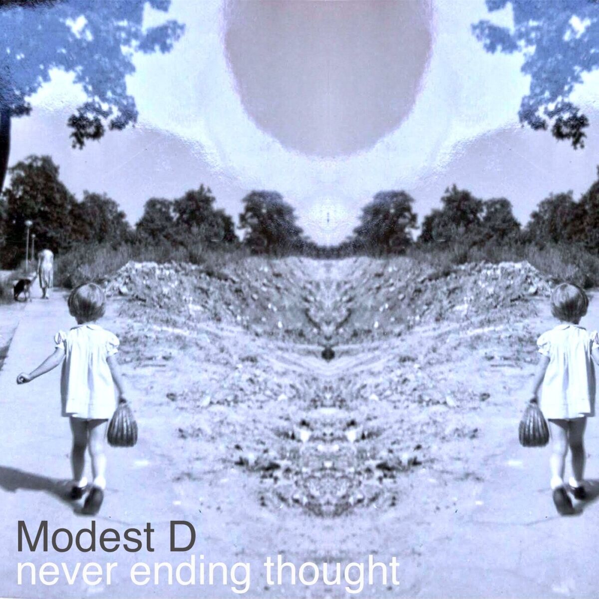 Album cover of Never Ending Thought