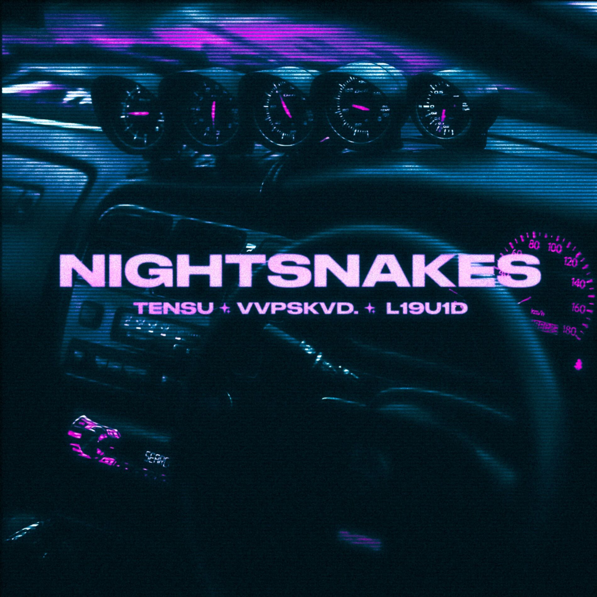 Album cover of NIGHTSNAKES