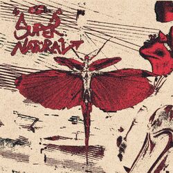 Cover of SuperNatural