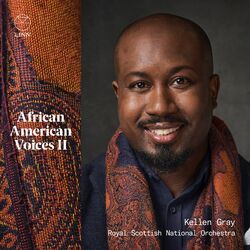 Cover of African American Voices II