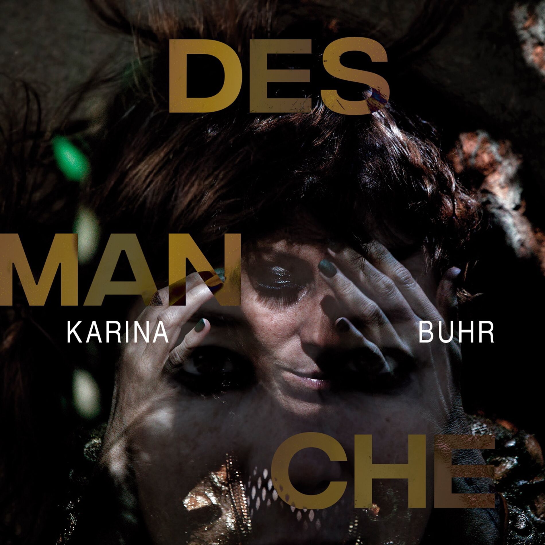 Album cover of Desmanche