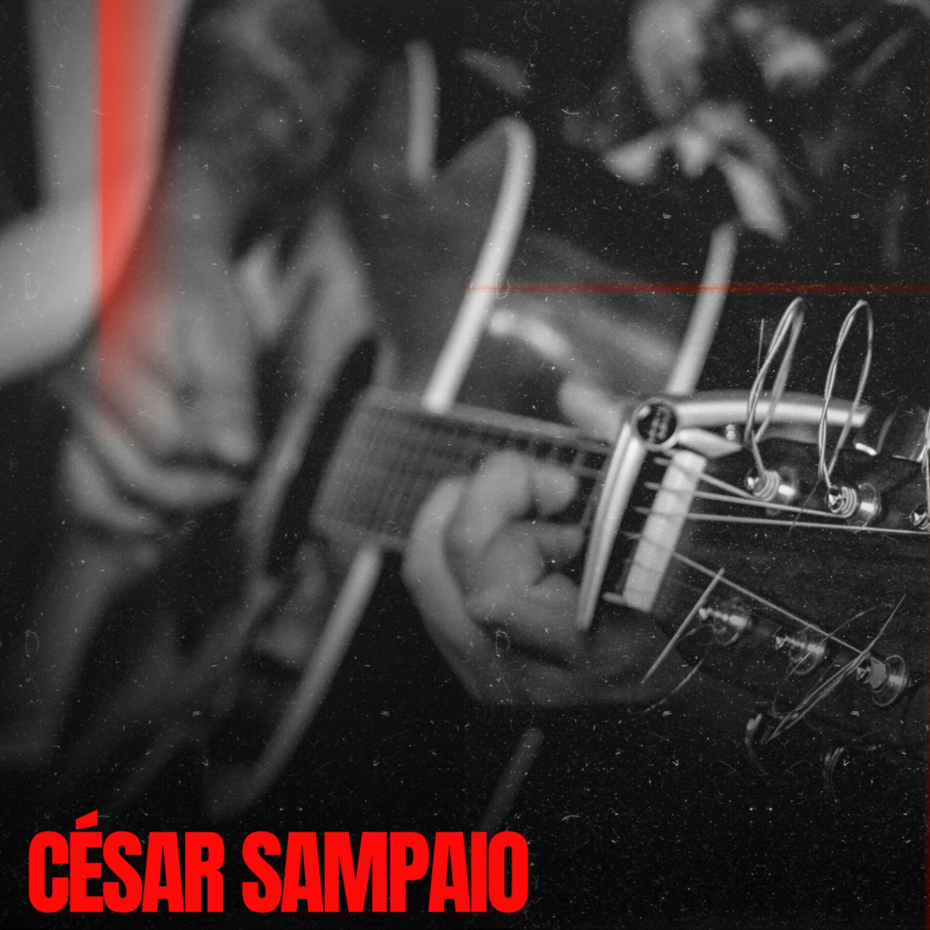 Album cover of Mistura de Raça