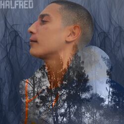 Cover of Bang