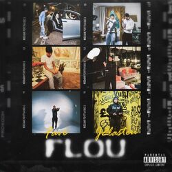 Cover of Flou