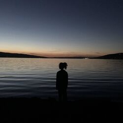 Cover of Speechless