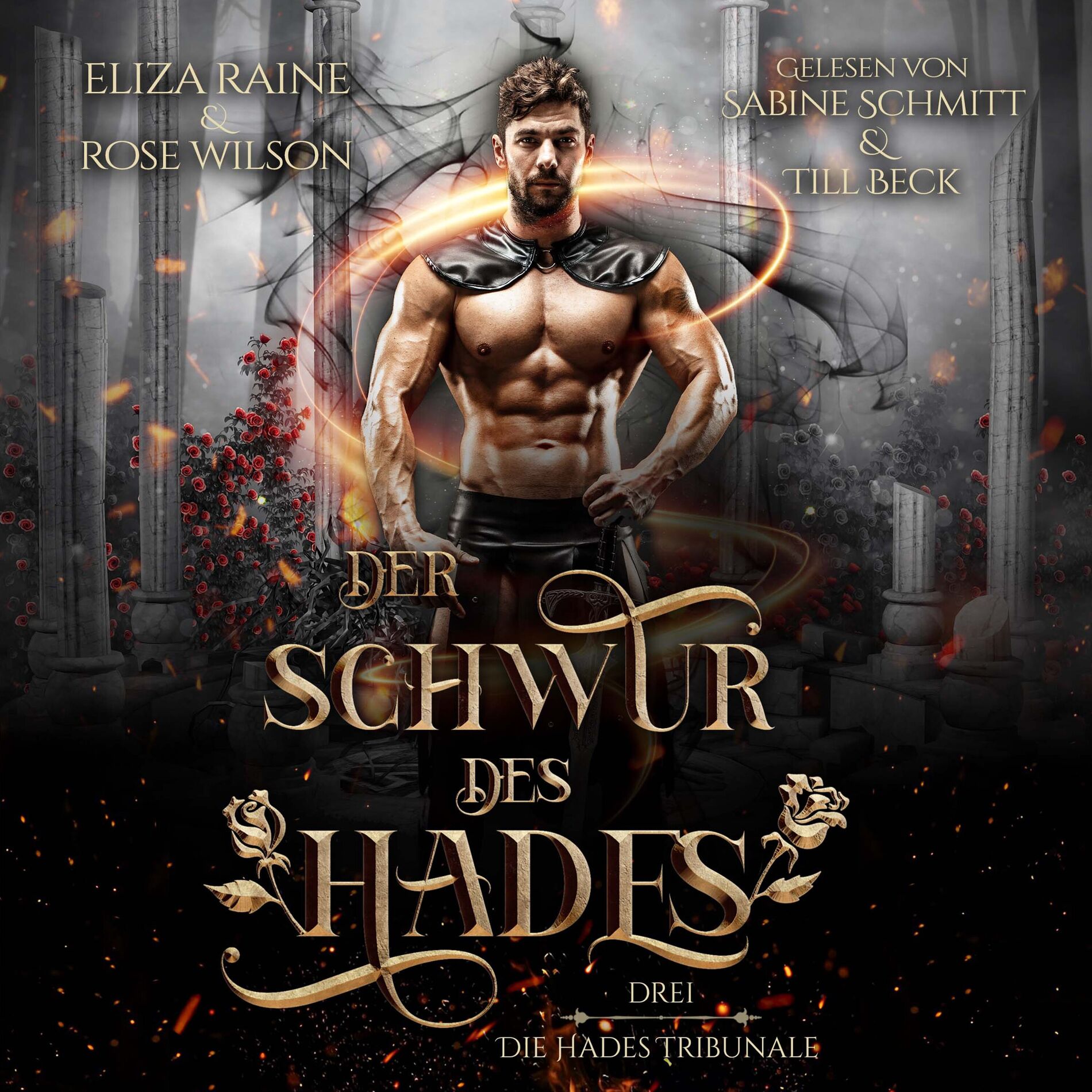 Album cover of Der Schwur des Hades - Fantasy Hörbuch