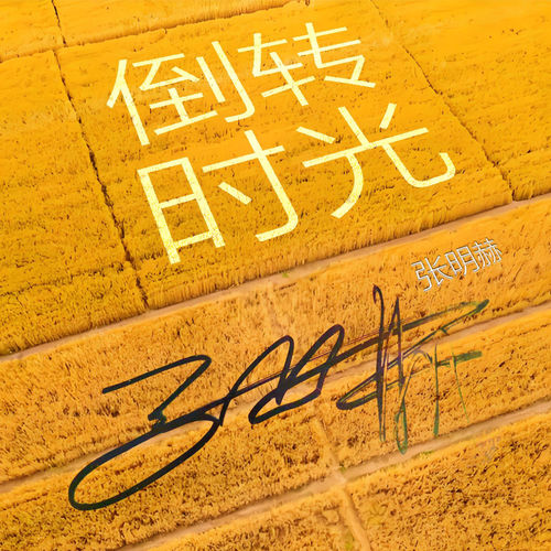 倒转时光
