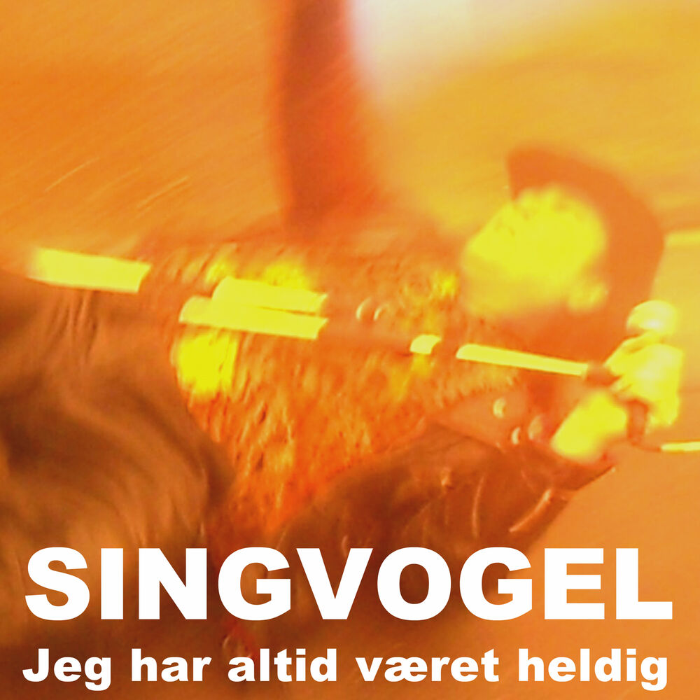 Picture of Jeg har altid været heldig