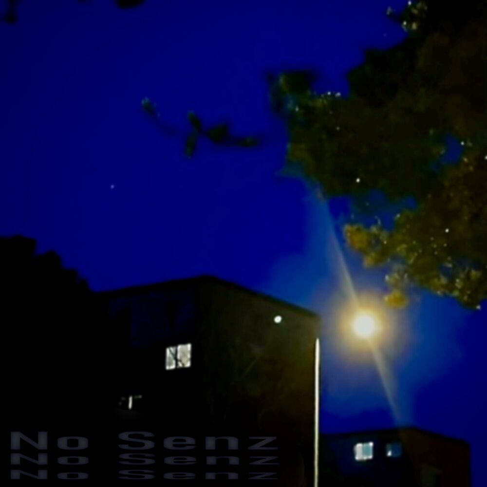Picture of No Senz