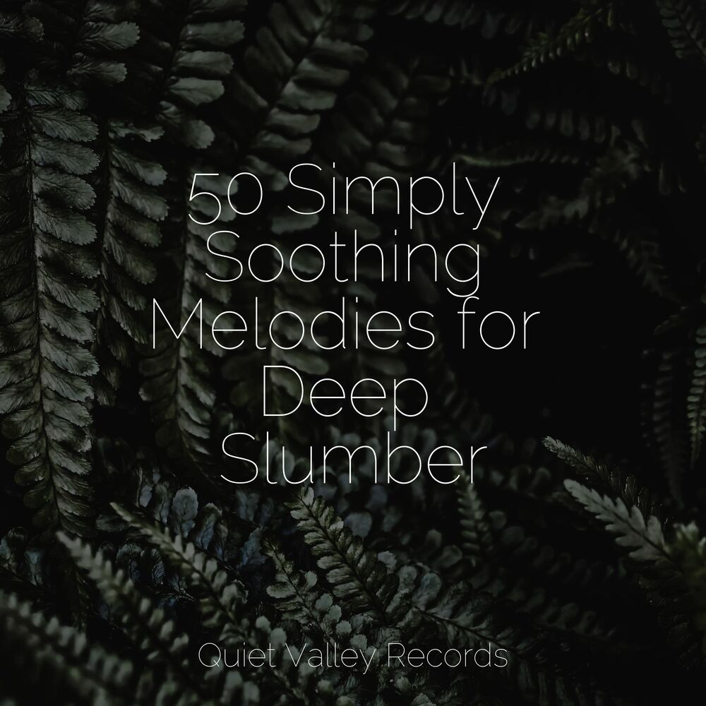 Picture of 50 Simply Soothing Melodies for Deep Slumber