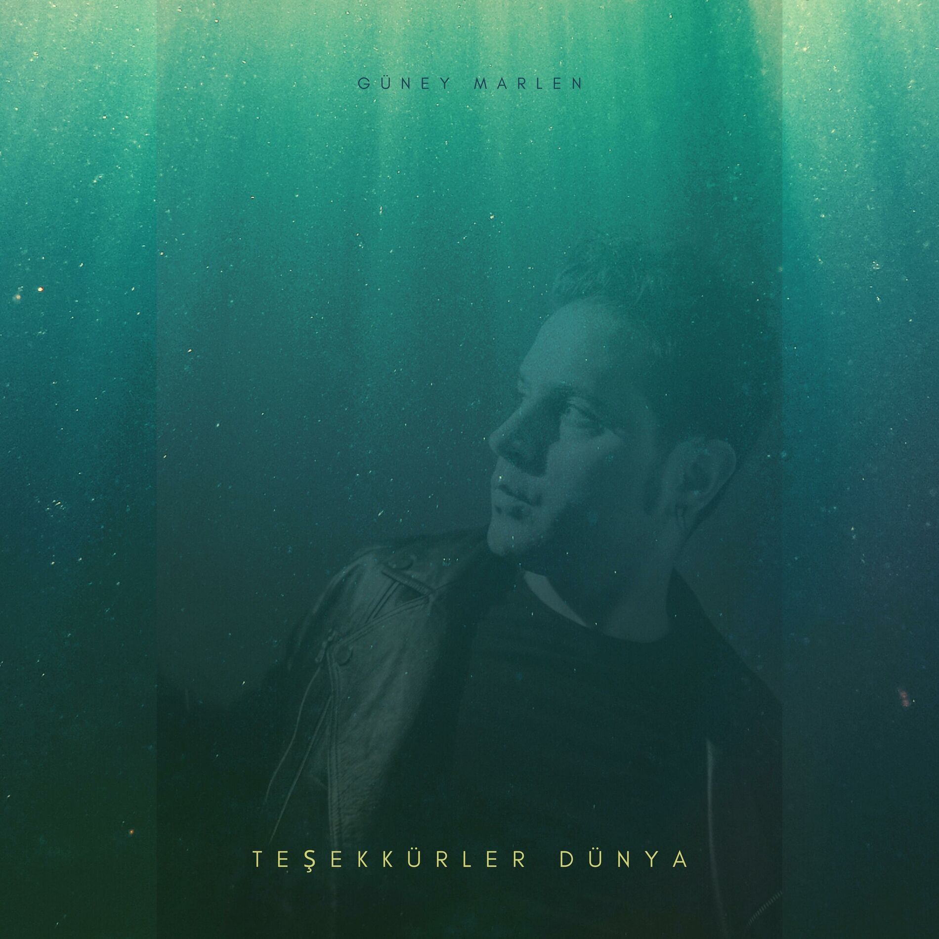 Album cover of Teşekkürler Dünya