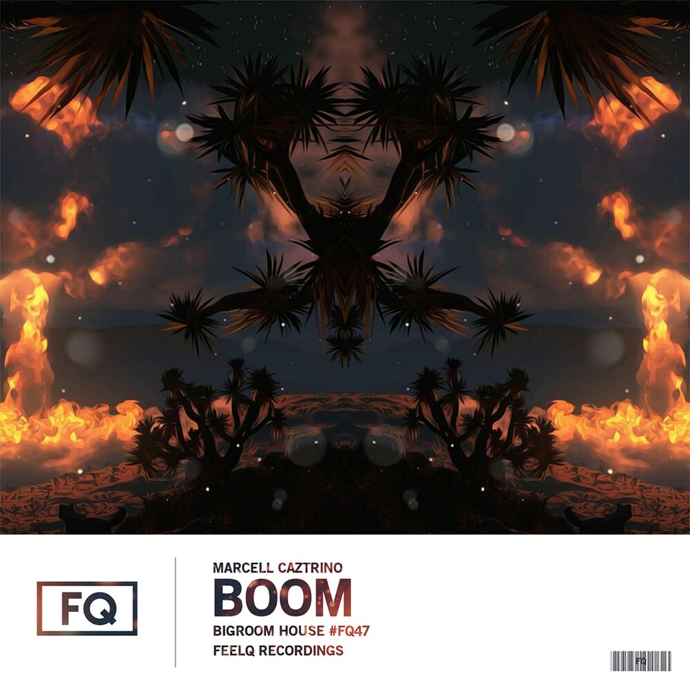 Picture of Boom