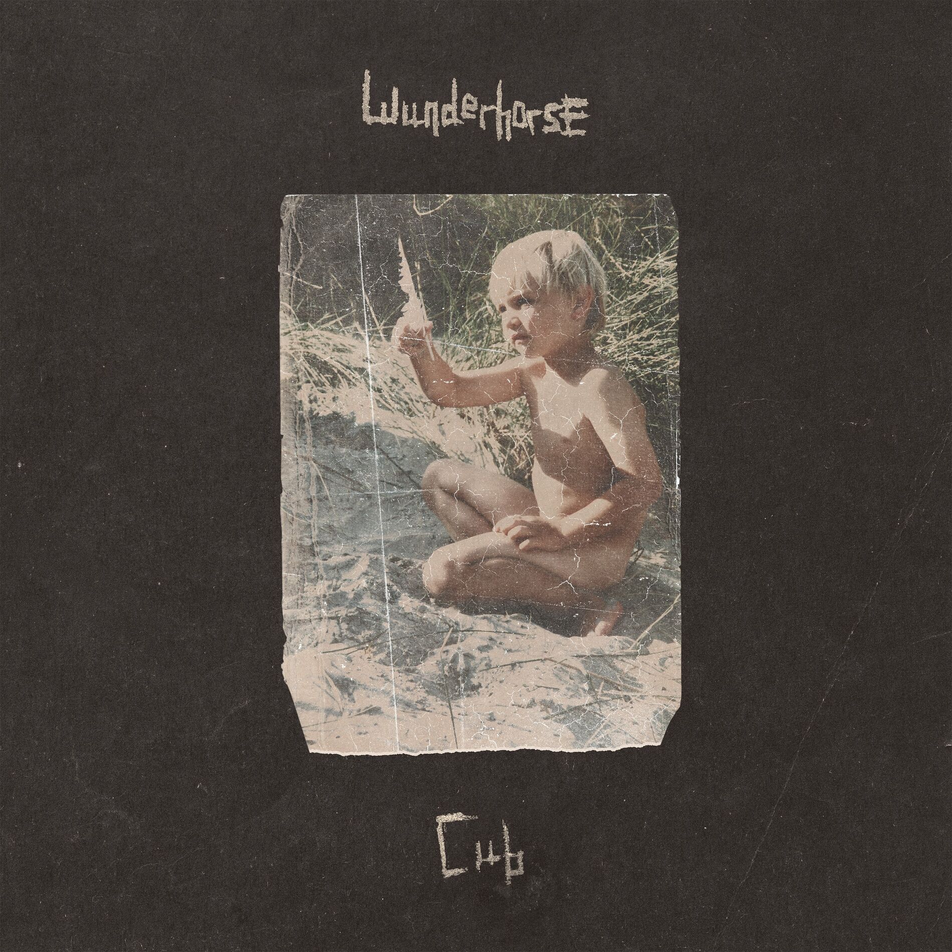 Album cover of Cub