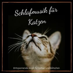 Cover of Schlafmusik für Katzen: Entspannende Musik für Katzen und Kätzchen