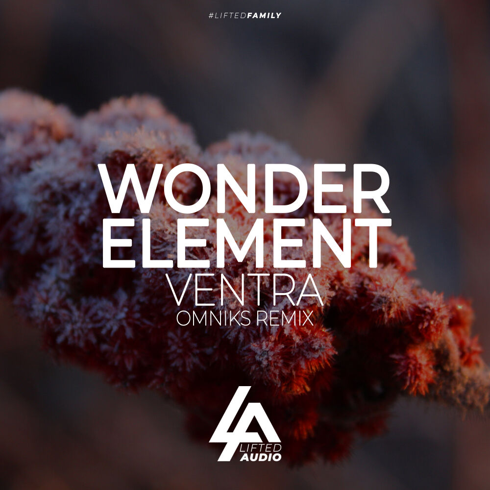 Picture of Ventra (Omniks Remix)