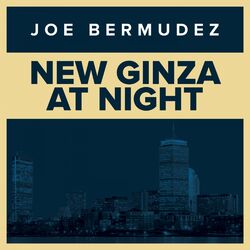 Cover of New Ginza At Night