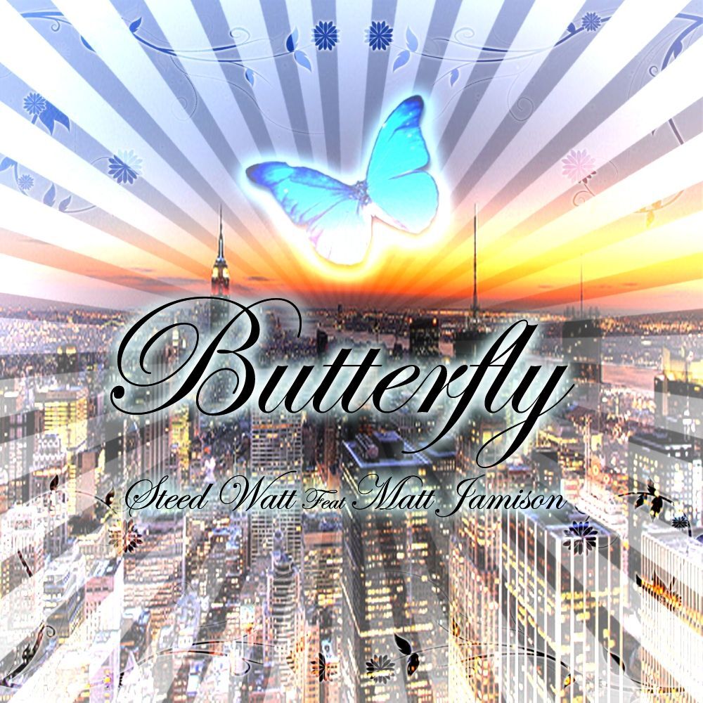 Picture of Butterfly