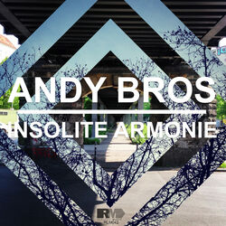 Cover of Insolite Armonie