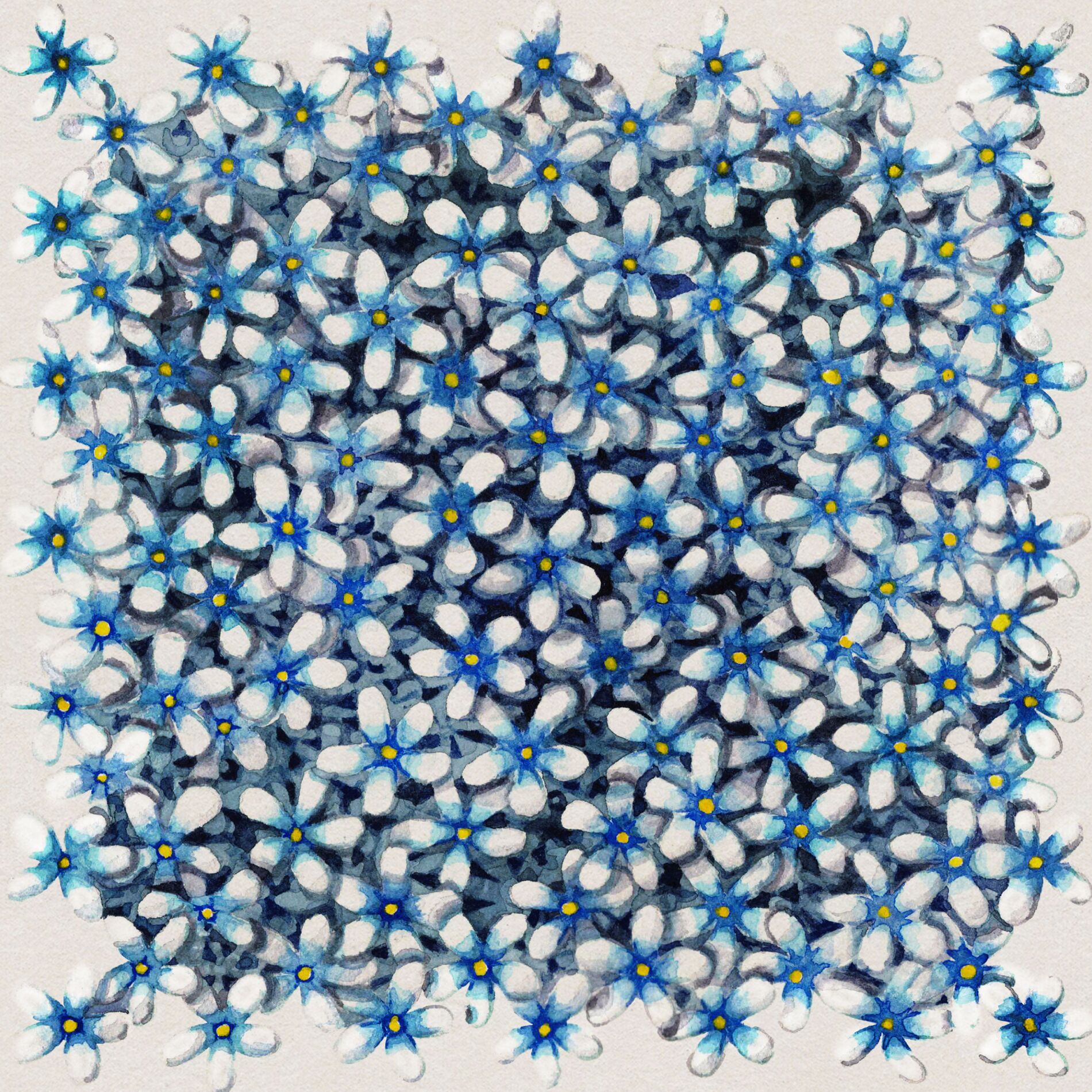 Album cover of On the Ground