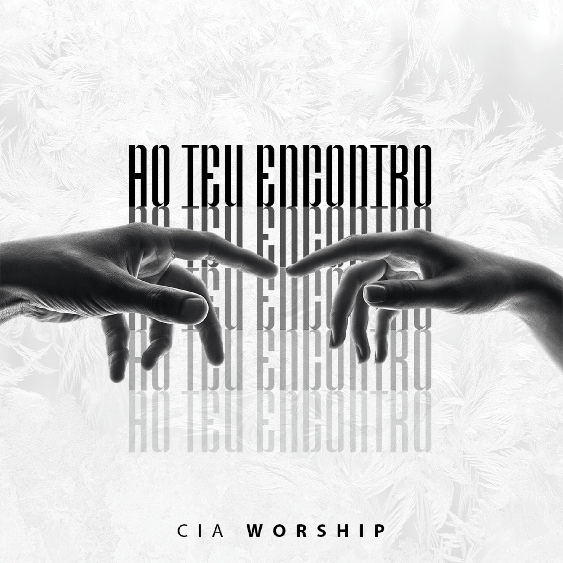 Album cover of Ao Teu Encontro