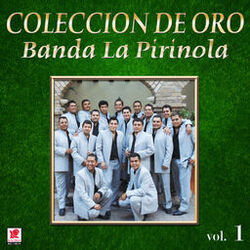 Cover of Colección de Oro, Vol. 1