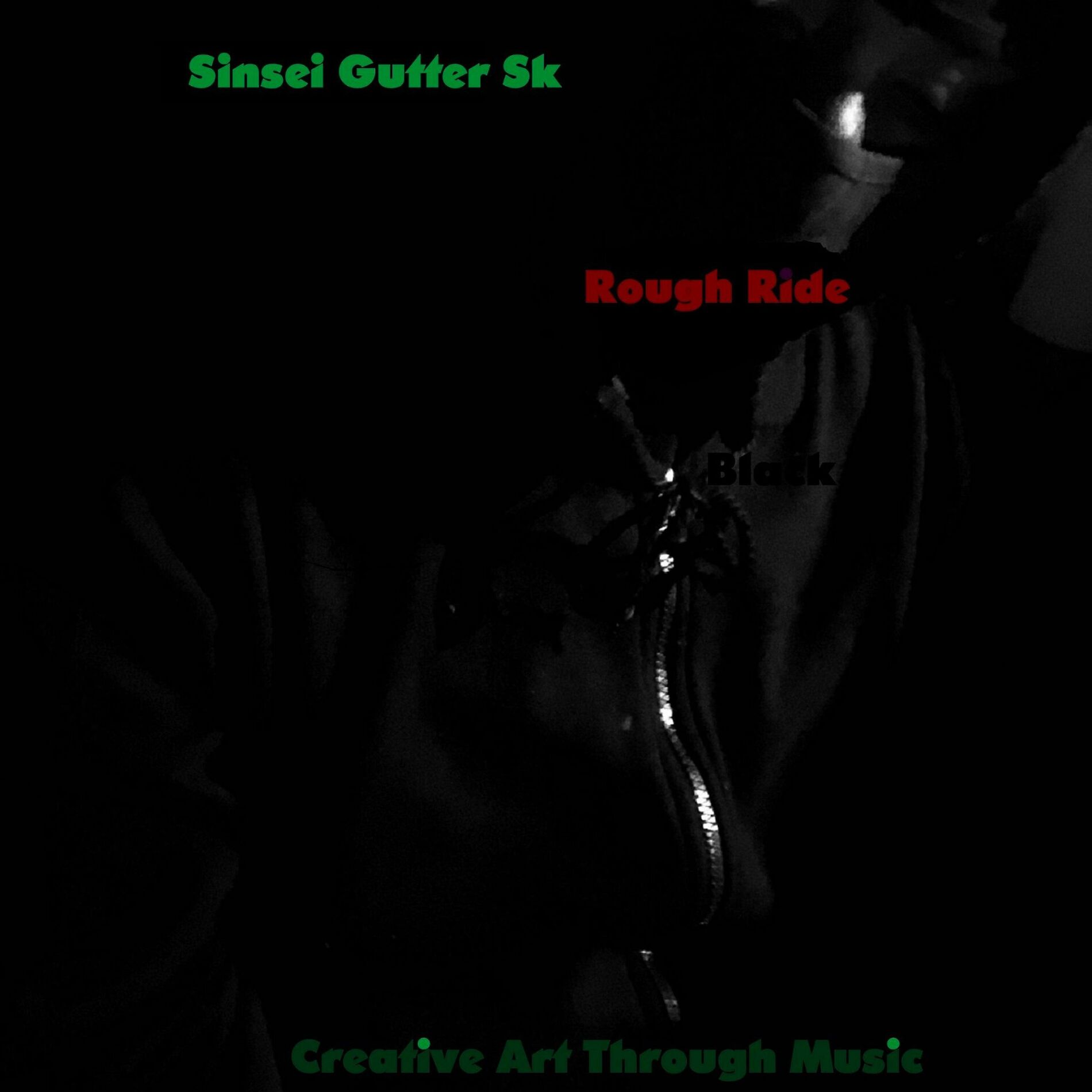Album cover of Rough Ride Black